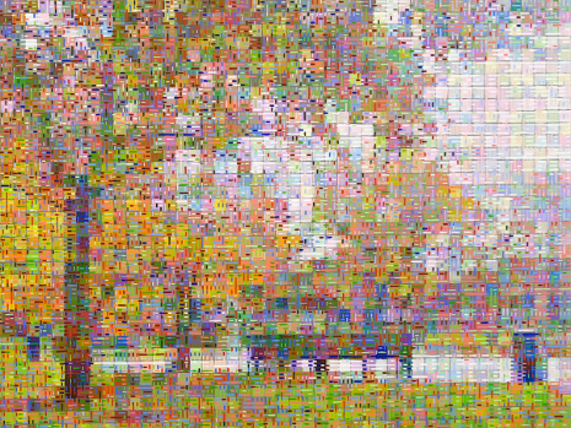 ©Dan Hays